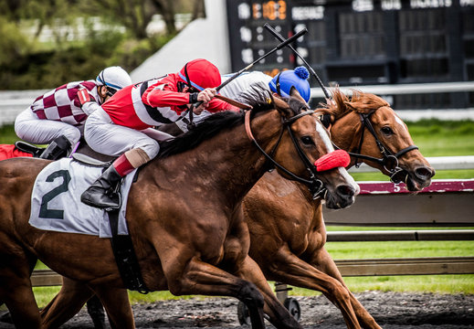 🏇 Horse Racing